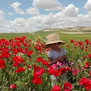 Meet your Posher, Silvia